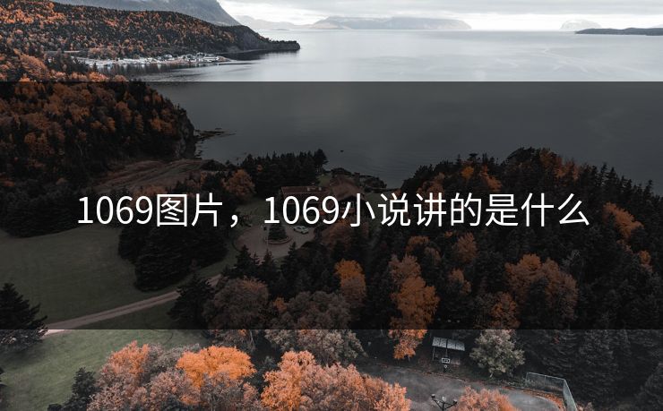 1069图片，1069小说讲的是什么