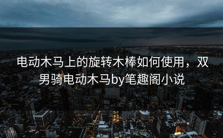 电动木马上的旋转木棒如何使用,双男骑电动木马by笔趣阁小说