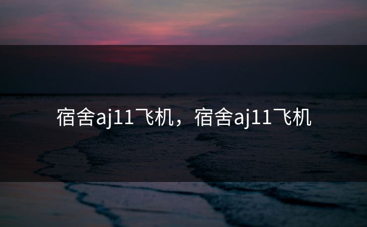 宿舍aj11飞机,宿舍aj11飞机