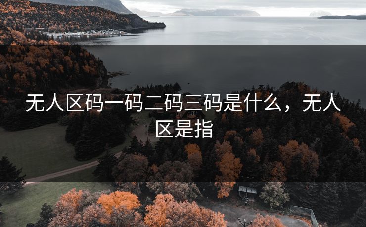 无人区码一码二码三码是什么,无人区是指